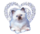 E-mailadres: info@cattery-livingjewels.nl